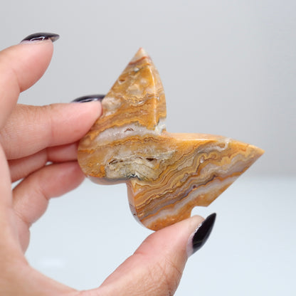 Crazy Lace Agate Butterfly | 9