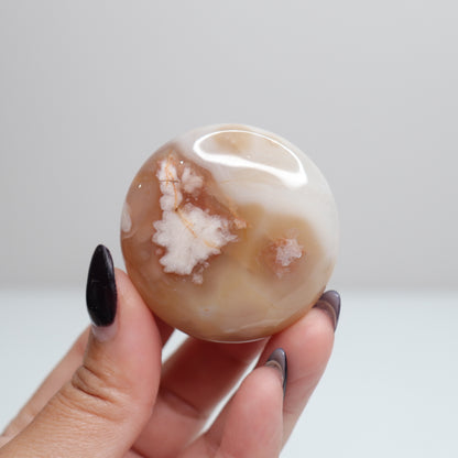 Flower Agate Round Palm | 6