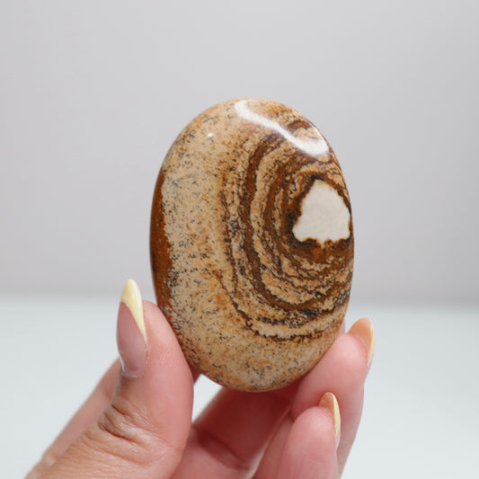 Picture Jasper Palm Stone 7