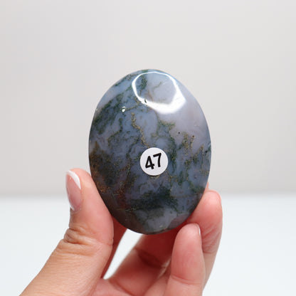 Moss Agate Palm Stone | 47