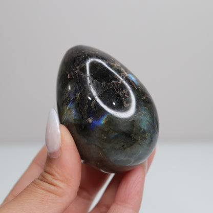 Labradorite Egg | 40