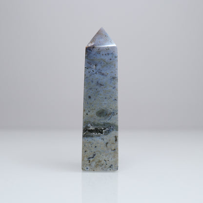 Ocean Jasper Tower | 7