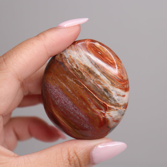 Petrified Wood Palm Stone | 1