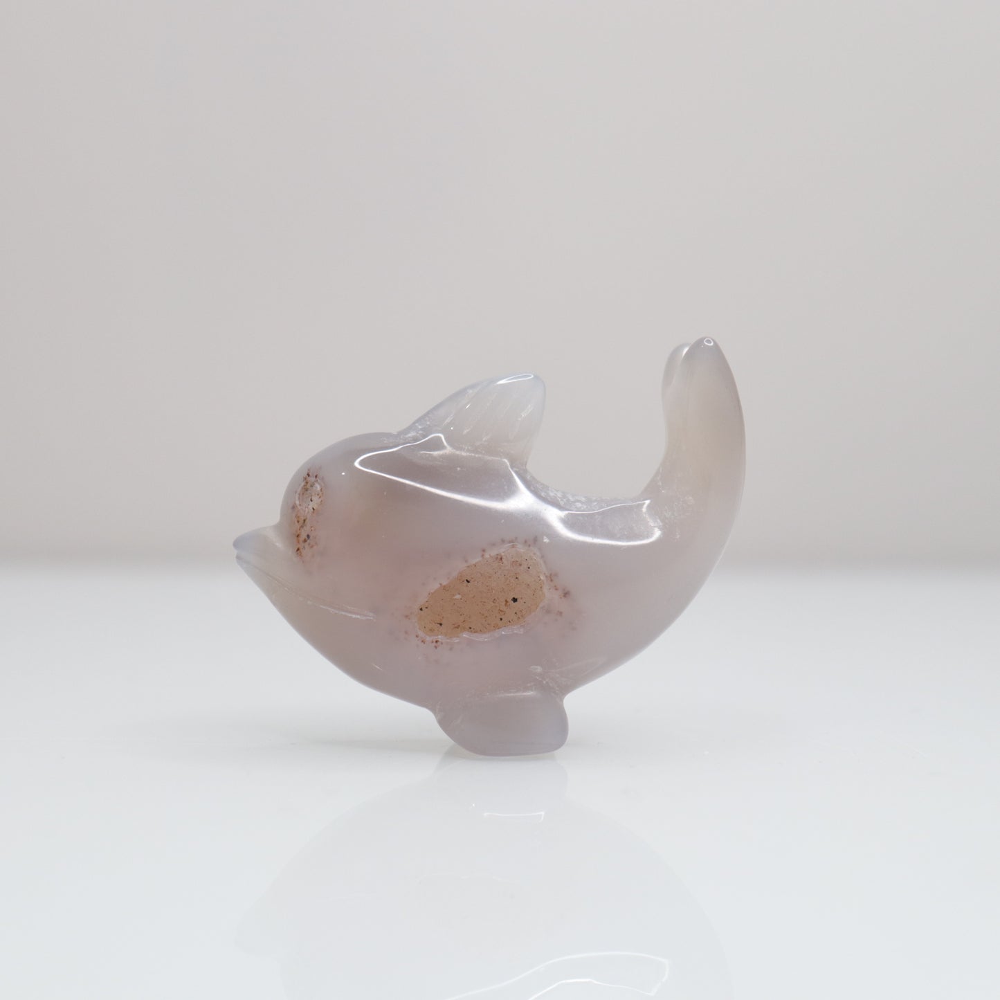 Agate Dolphin | 1