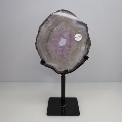 Amethyst Portal w/Green Quartz | Spinning stand