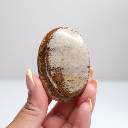 Picture Jasper Palm Stone 9