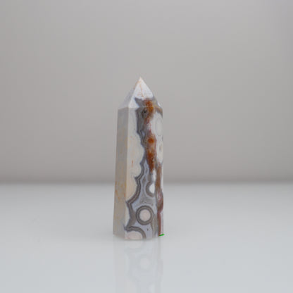 Ocean Jasper Tower 9