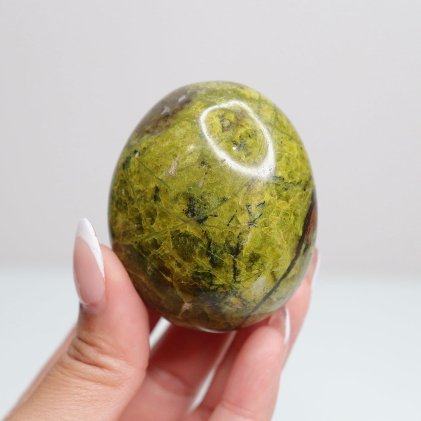Green Opal Palm Stone 51