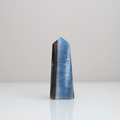 Blue Opal Tower 152