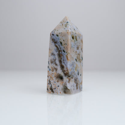 Ocean Jasper Tower | 4