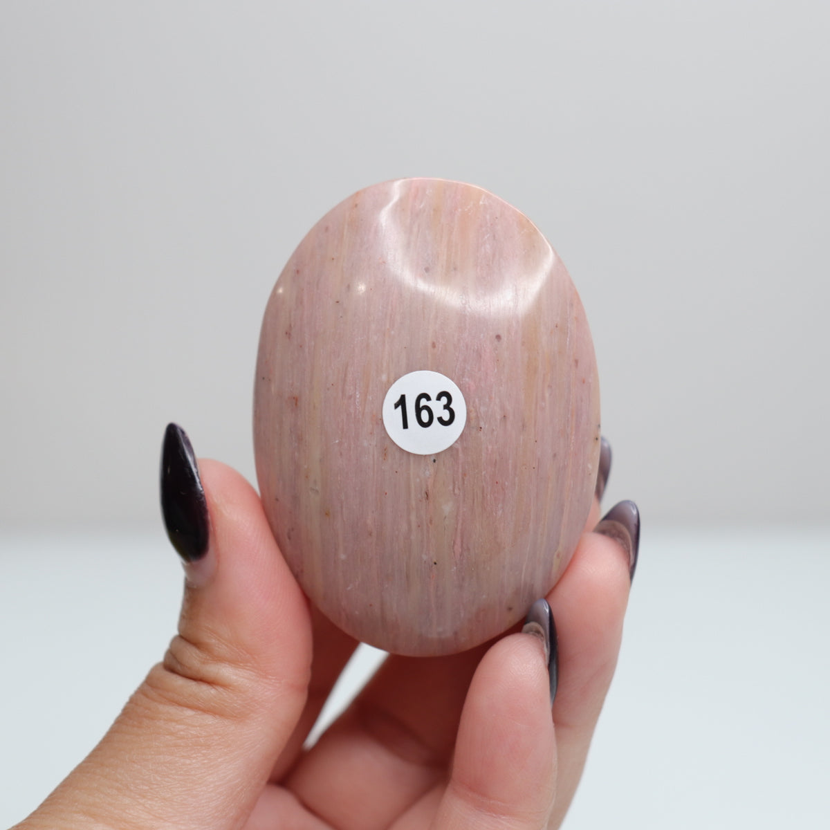 Pink Petrified Wood Palm Stone | 163
