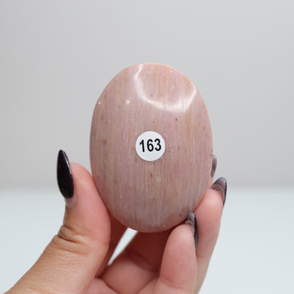 Pink Petrified Wood Palm Stone | 163