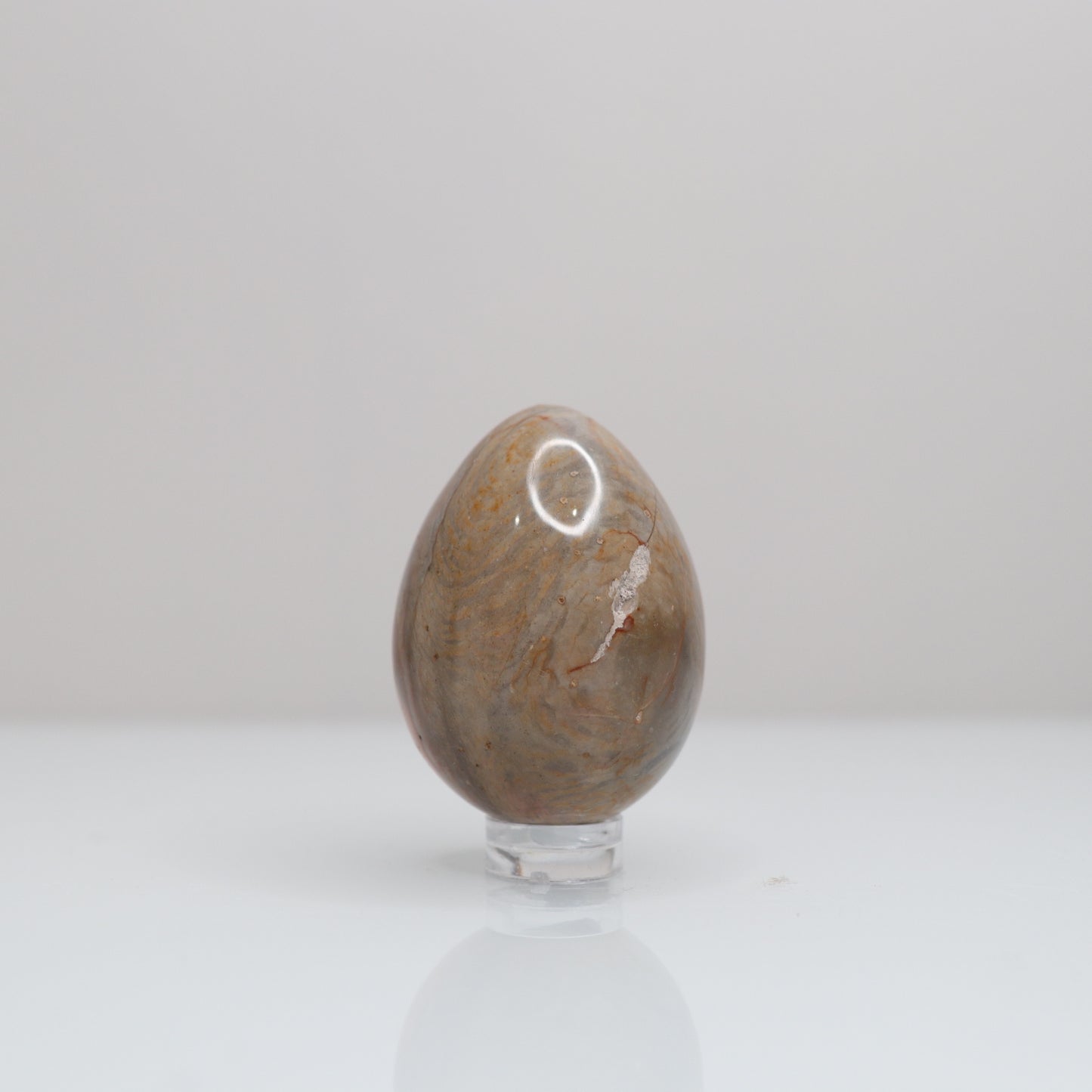 Polychrome Jasper Egg | 2