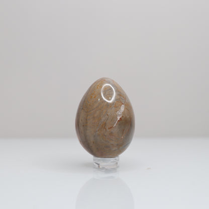Polychrome Jasper Egg | 2