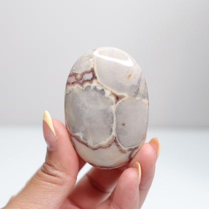 Cobra Jasper Palm Stone 13