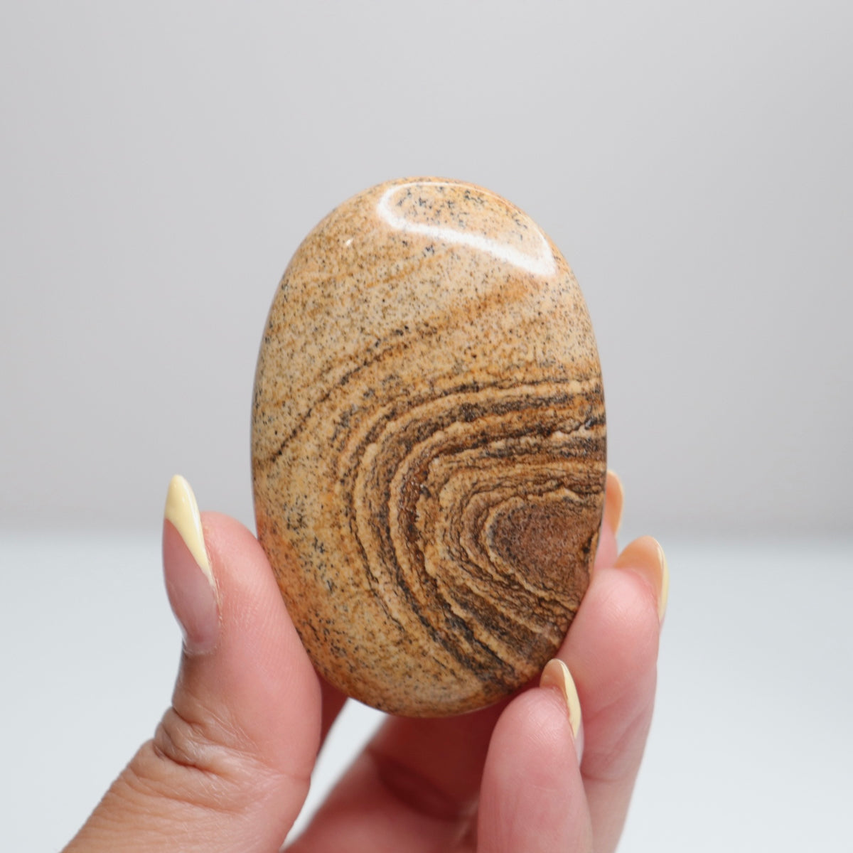 Picture Jasper Palm Stone 5