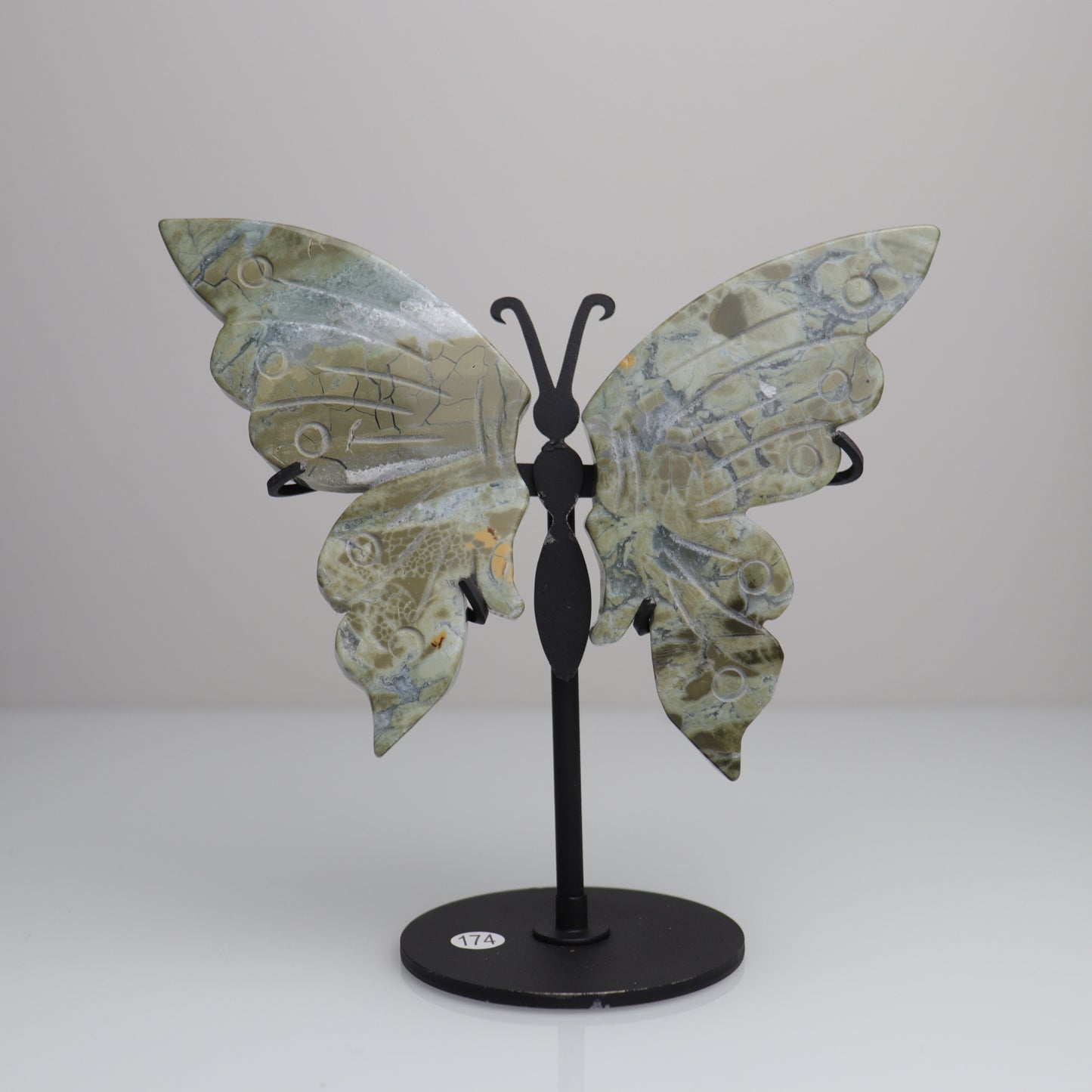 Sea Jasper Butterfly