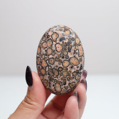 Leopard Skin Jasper Palm Stone | 23