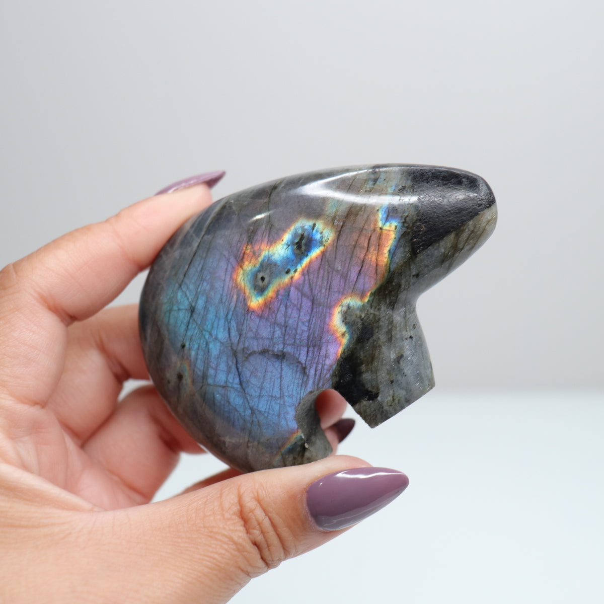 Labradorite Bear 6