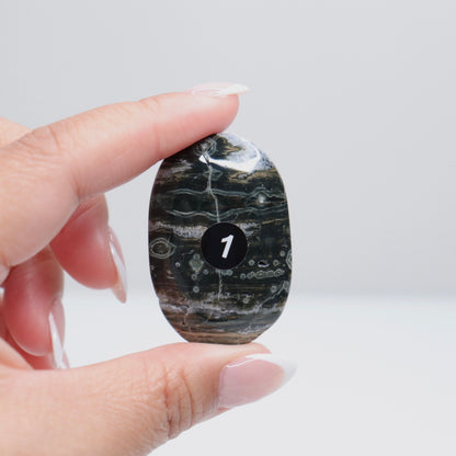 Sea Jasper Palm Stone | 1