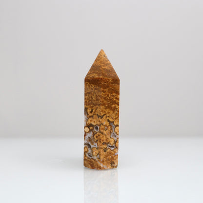 Ocean Jasper Tower | 113