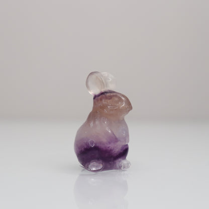 Fluorite Bunny | 5