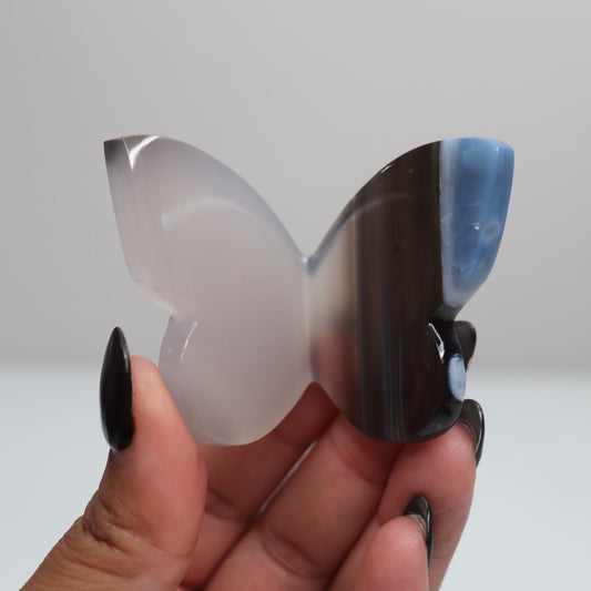 Blue Opal Butterfly 3