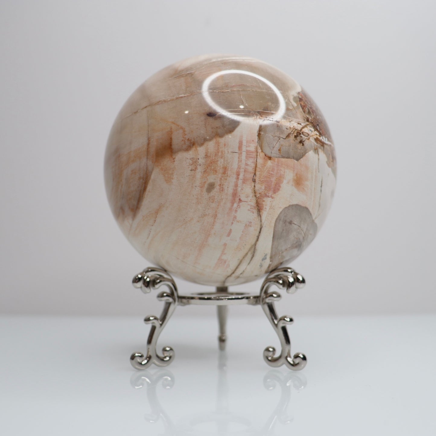 Petrified Wood Sphere | Large