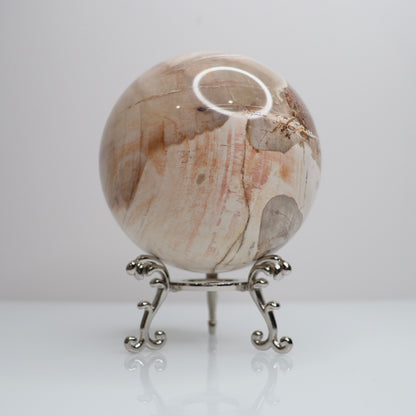 Petrified Wood Sphere | Large