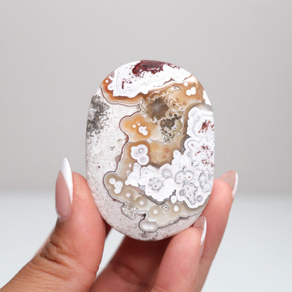 Mexican Lace Agate Palm Stone R