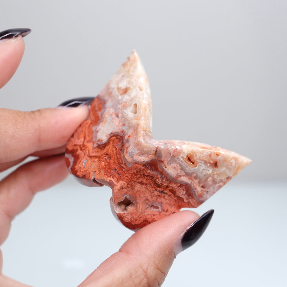 Crazy Lace Agate Butterfly | 25