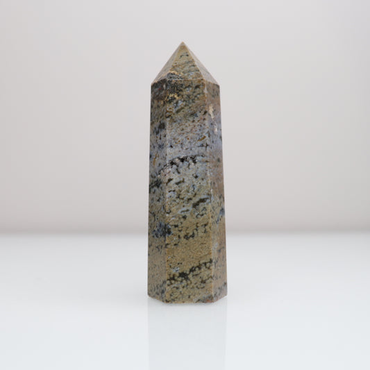 Ocean Jasper Tower 2*