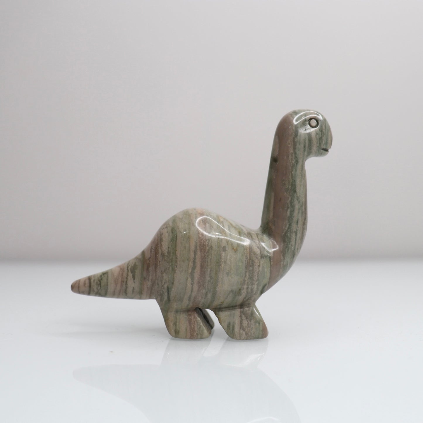 Polychrome Jasper Dinosaur C