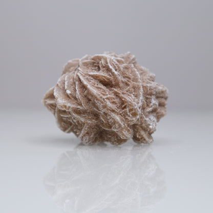 Desert Rose Cluster | 2