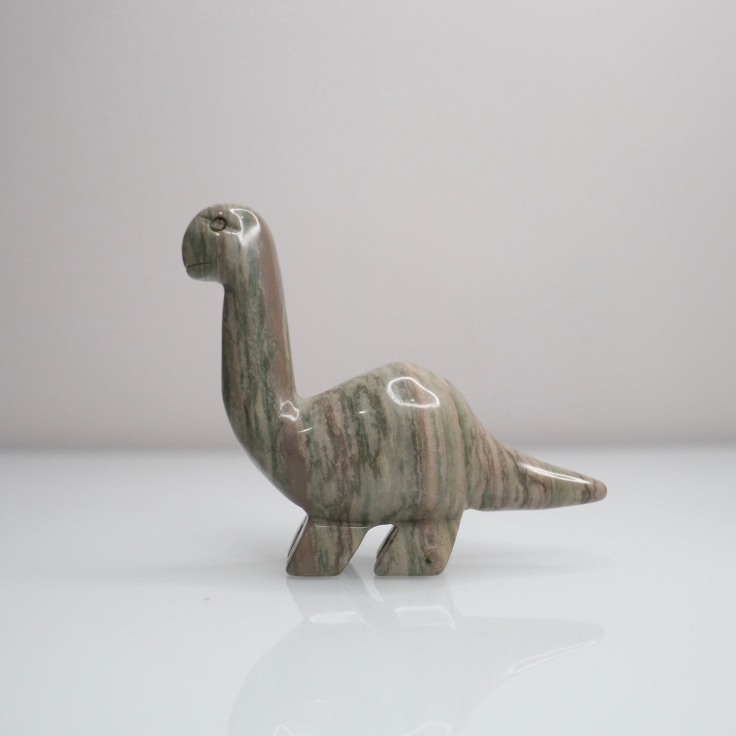 Polychrome Jasper Dinosaur C