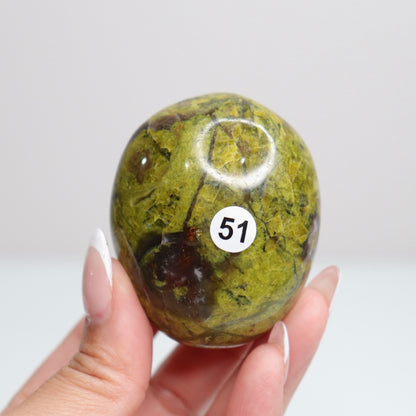 Green Opal Palm Stone 51