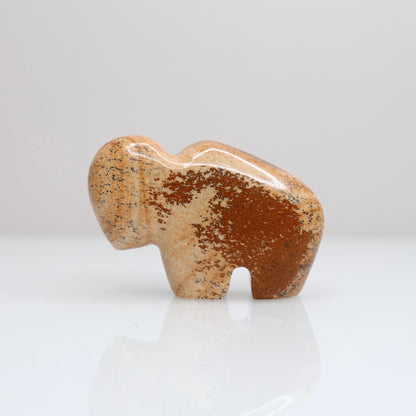 Picture Jasper Bison 3
