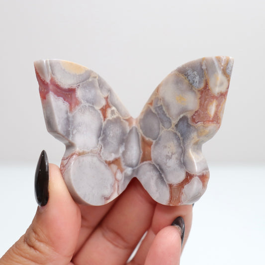 Cobra Jasper Butterfly 10