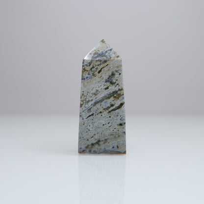 Ocean Jasper Tower | 2