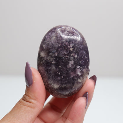 Unicorn Stone Palm Stone 1
