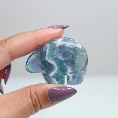 Durango Fluorite Mini Bear 4
