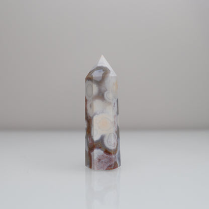 Ocean Jasper Tower 9