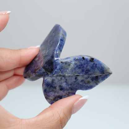 Sodalite Butterly A
