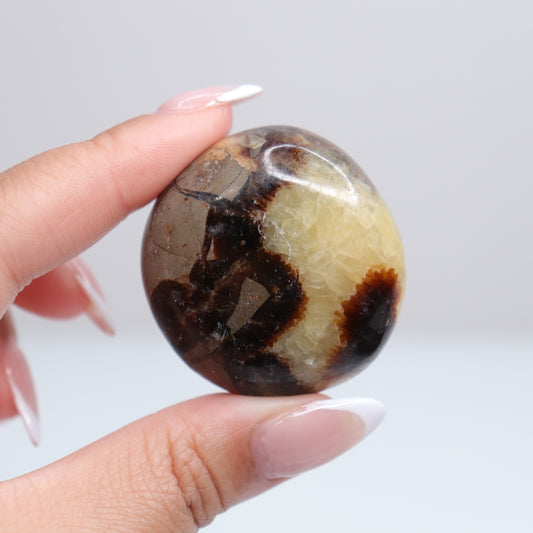 Septarian Palm Stone 74