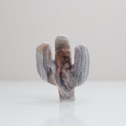 Chalcedony Cactus 43