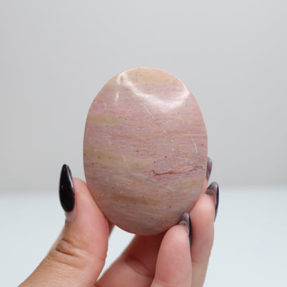 Pink Petrified Wood Palm Stone | 162