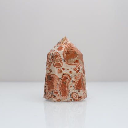 Leopardite Tower | 17
