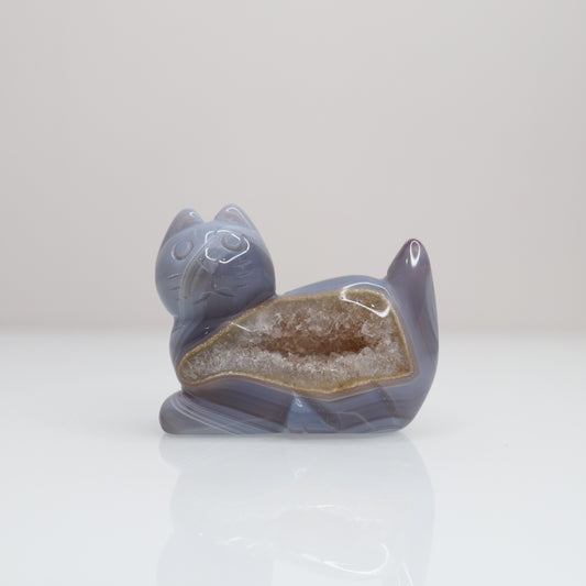 Druzy Agate Cat | D