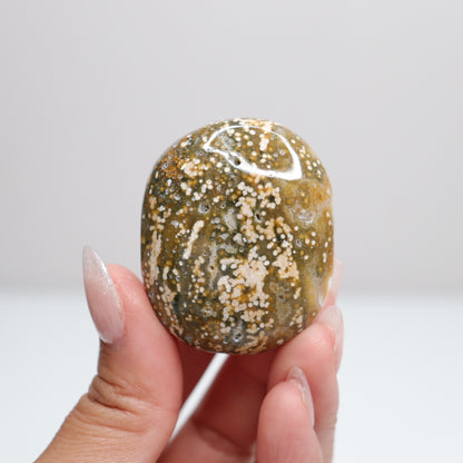 Sea Jasper Palm Stone | O
