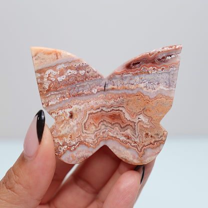 3D Pink Lace Agate Butterfly | J